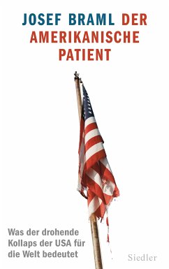 Der amerikanische Patient (eBook, ePUB) - Braml, Josef