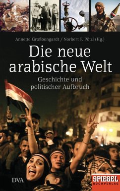 Die neue arabische Welt (eBook, ePUB)