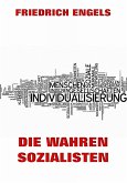 Die wahren Sozialisten (eBook, ePUB)