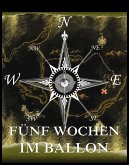 Fünf Wochen im Ballon (eBook, ePUB)