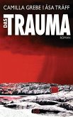 Das Trauma / Siri Bergmann Bd.2 (eBook, ePUB)