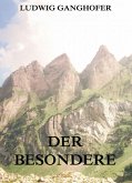 Der Besondere (eBook, ePUB)