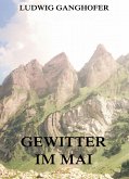 Gewitter im Mai (eBook, ePUB)