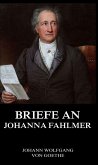 Briefe an Johanna Fahlmer (eBook, ePUB)