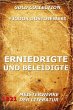 Erniedrigte und Beleidigte (eBook, ePUB) - Bild 1