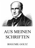 Aus meinen Schriften (eBook, ePUB)