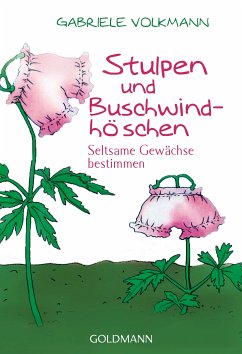 Stulpen und Buschwindhöschen (eBook, ePUB) - Volkmann, Gabriele