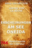 Erscheinungen am See Oneida (eBook, ePUB)