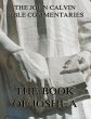 John Calvin's Commentaries On The Book... - Bild 1