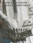 John Calvin's Commentaries On The Acts Vol. 2 (eBook, ePUB)