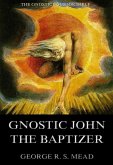 Gnostic John the Baptizer: Selections from the Mandaean John-Book (eBook, ePUB)