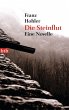 Die Steinflut (eBook, ePUB) - Bild 1
