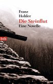 Die Steinflut (eBook, ePUB)