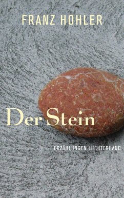 Der Stein (eBook, ePUB) - Hohler, Franz