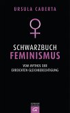 Schwarzbuch Feminismus (eBook, ePUB)
