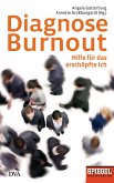 Diagnose Burnout (eBook, ePUB)