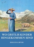 Wo Gritlis Kinder hingekommen sind (eBook, ePUB)