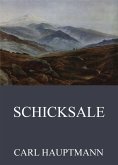 Schicksale (eBook, ePUB)