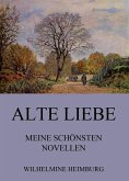 Alte Liebe - Meine schönsten Novellen (eBook, ePUB)