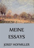 Meine Essays (eBook, ePUB)