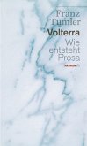 Volterra. Wie entsteht Prosa (eBook, ePUB)