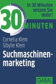 30 Minuten Suchmaschinenmarketing (eBook, PDF)