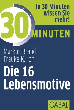30 Minuten Die 16 Lebensmotive (eBook, PDF) - Ion, Frauke; Brand, Markus