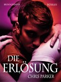 Die Erlösung (eBook, ePUB)