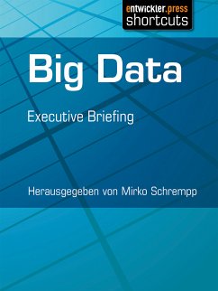 Big Data (eBook, ePUB)