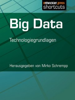 Big Data (eBook, ePUB)