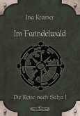 DSA 16: Im Farindelwald (eBook, ePUB)