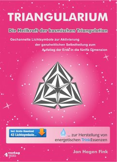 Triangularium (eBook, PDF) - Fink, Jan Hagen