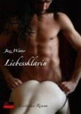 Liebessklavin (eBook, ePUB)