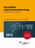 Perspektive Unternehmensberatung 2013 (eBook, ePUB)