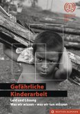 Gefährliche Kinderarbeit - Leid und Lösung (eBook, PDF)