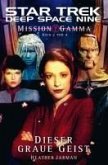 Star Trek - Deep Space Nine 6 (eBook, ePUB)