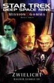 Star Trek - Deep Space Nine 5 (eBook, ePUB)