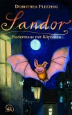 Sandor Fledermaus mit Köpfchen (eBook, ePUB)