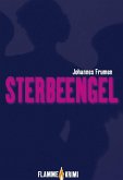 Sterbeengel (eBook, ePUB)