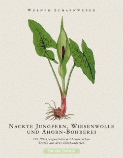 Nackte Jungfern, Wiesenwolle und Ahorn-Bohrerei - Scharnweber, Werner