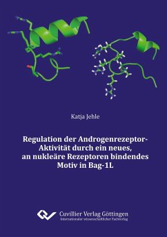 Regulation der Androgenrezeptor¿Aktivitat durch ein neues, an nukleare Rezeptoren bindendes Motiv in Bag¿1L - Jehle, Katja