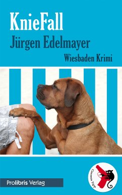 KnieFall (eBook, ePUB) - Edelmayer, Jürgen