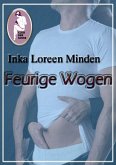 Feurige Wogen (eBook, ePUB)