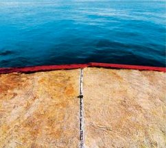 Cover Places We Need