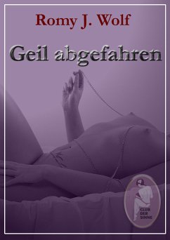 Geil abgefahren (eBook, ePUB) - Wolf, Romy J.