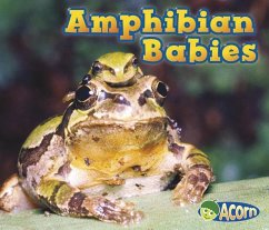 Amphibian Babies - Veitch, Catherine