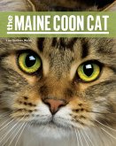 Maine Coon Cat PB