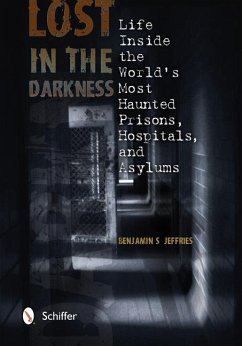 Lost in the Darkness - Jeffries, Benjamin S