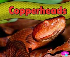 Copperheads - Dunn, Mary R.