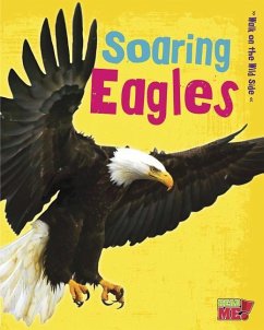 Soaring Eagles - Guillain, Charlotte